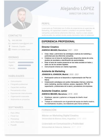 experiencia-profesional-curriculum-vitae