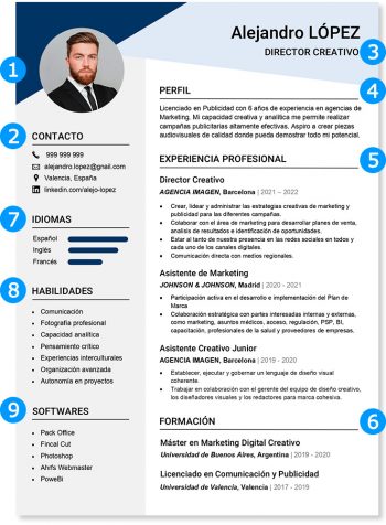 partes-curriculum-vitae-2