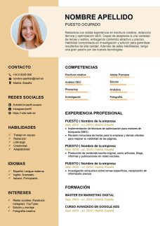 curriculum vitae por competencias
