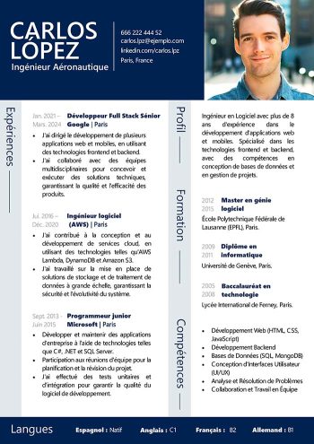 curriculum vitae en francés