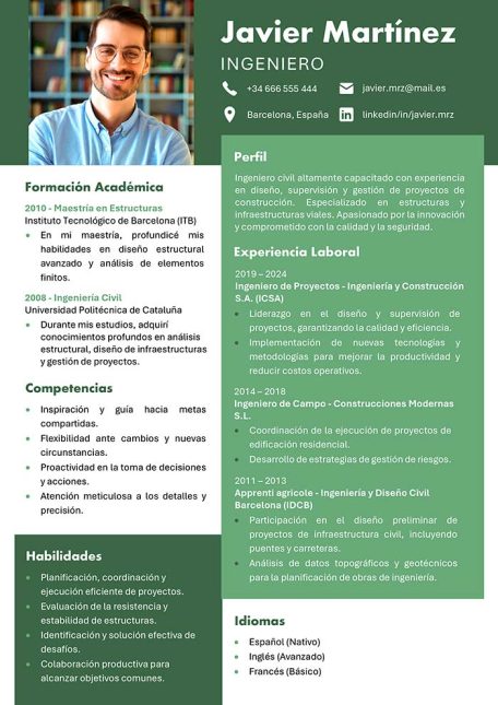 curriculum de un ingeniero ejemplo