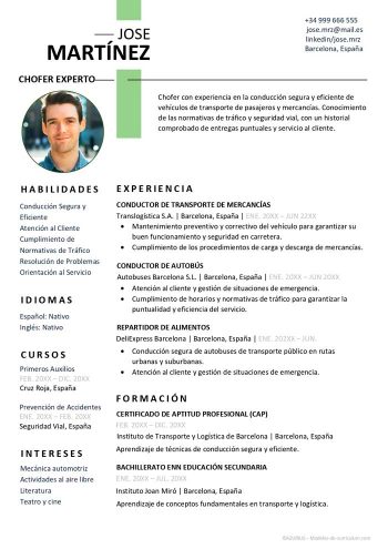 ejemplo de currículum para chofer o conductor (transporte)