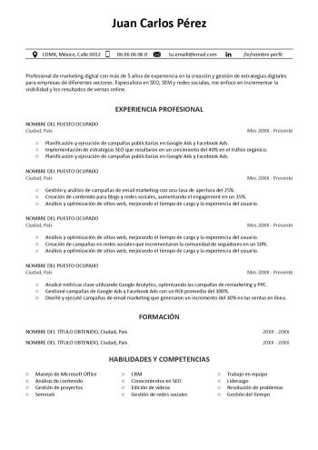 plantilla-curriculum-google-docs-blanco-y-negro