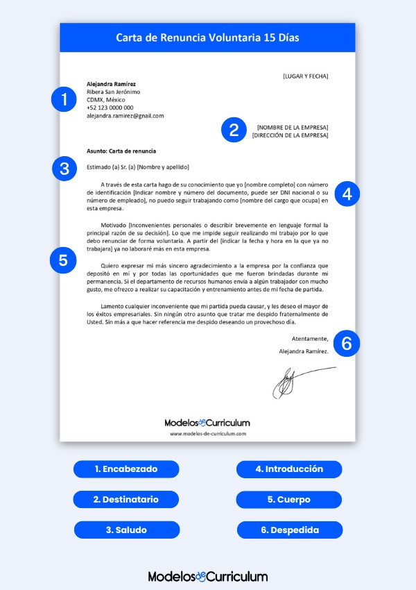 carta-de-renuncia-15-dias-en-word
