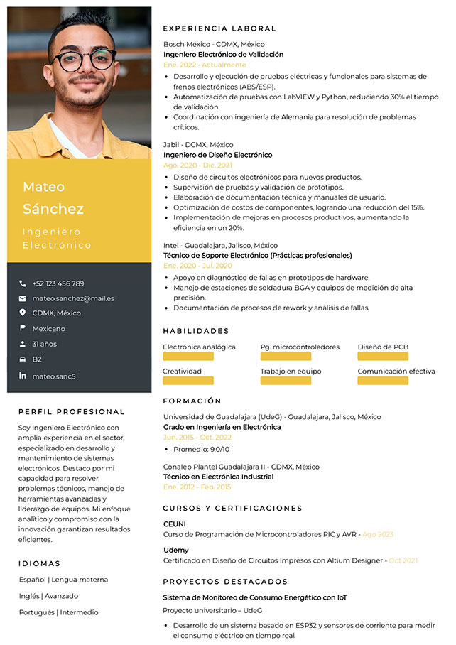 plantilla curriculum dinamico