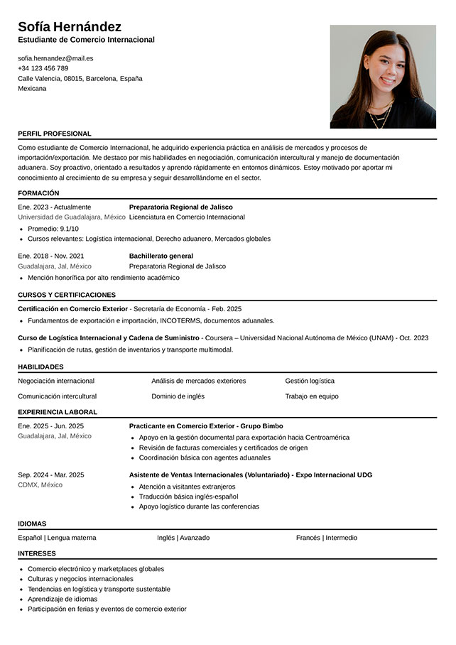 plantilla curriculum minimalista