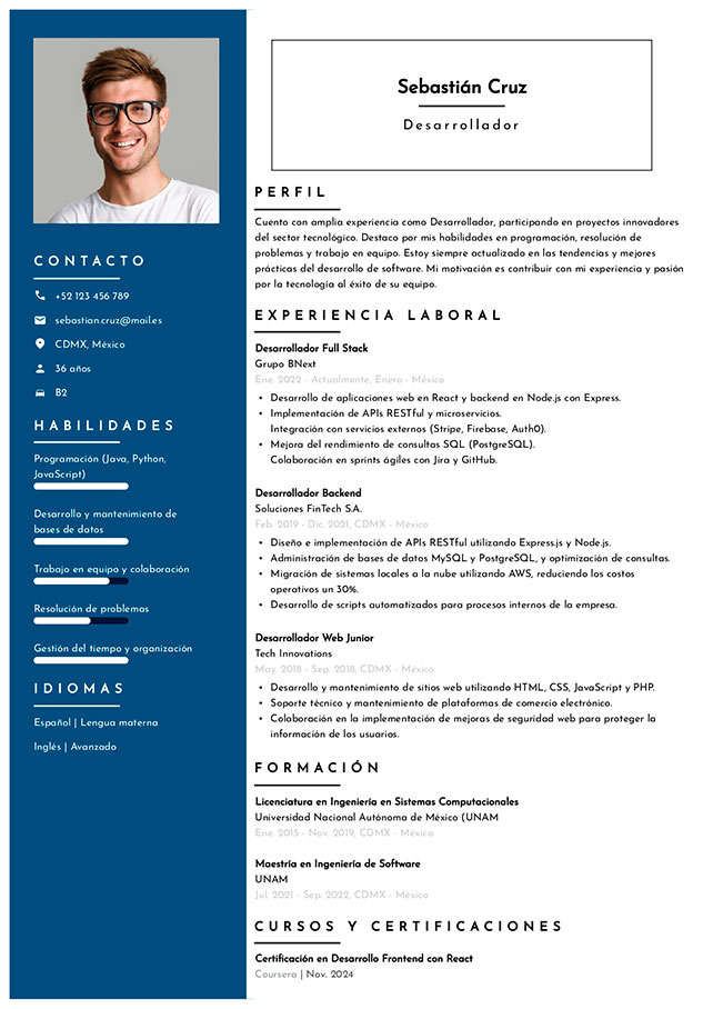plantilla curriculum profesional