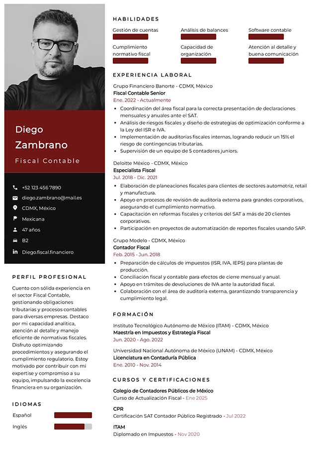 plantilla curriculum sofisticado