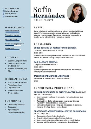 plantilla de curriculum vitae para principiantes para descargar gratis